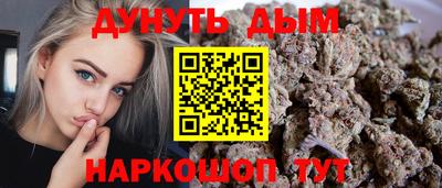 сатива Рязань