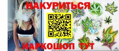 сатива Рязань
