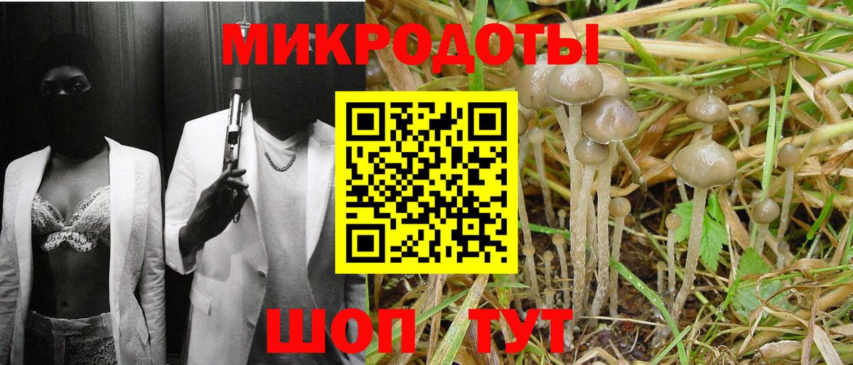Галлюциногенные грибы мицелий  Псилоцибиновые грибы MAGIC MUSHROOMS  Вход с VPN  Ростов Великий 